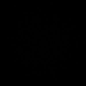 Meet your Posher, Arianna